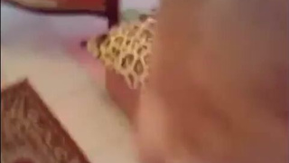 порно с рыжими девушками
секс с красивой рыжей
порно рыжие девушки
секс с рыжими девушками
порно рыжая красотка
порно с рыжеволосыми
порнуха с рыжей
рыженькие порно
порно видео рыжих
секс с рыжей порно
порно с молодой рыжей
рыжая девушка порно
рыженькая секс
порно рыжая девушка
порно рыженькие
порно рыжие красотки
трахнул рыжую подругу
порно рыженькая
рыжие девушки порно
ххх рыжие
порно рыжие сучки
порно молодая рыжая
смотреть порно с рыжей
порно рыжеволосые
рыжие красотки порно
рыжие xxx
трах с рыжей
ххх с рыжей
смотреть порно с рыжими
порно молодые рыжие
молодая рыжая порно
смотреть порно рыжая
порно рыжая маленькая
рыжие порно видео
порно рыжие кудрявые
рыжее порно
трах рыжую
рыжая кудрявая порно
порно рыжая молодая
секс с рыжей красавицей
рыжие в порно
порно видео с рыжей
порно с рыжий
порнуха с рыжими
рыжую ебут
порно худые рыжие
порно рыжие волосы
порно видео рыжая
порно с рыженькими
трахают рыжую
порно рыжие худые
ебут рыжих
жесткое порно с рыжей
секс с рыжей русской
секс рыженькая
трах рыжей
порно худая рыжая
порно с рыжими красотками
порно с рыжим
порно с рыжей сучкой
порно рыжие с веснушками
порно с худой рыжей
рыжая xxx
порно с рыжими
порно рыжая бестия
секс с молодой рыжей
русское порно рыжая
порно рыжая шлюха
рыжая сучка порно
xxx рыжие
порно с рыжей пиздой
рыжая красотка порно
рыжий секс
секс рыжий
порно с рыжими волосами
худая рыжая порно
секс рыжих
порно с рыжей
порно рыжая
секс рыжей
секс с рыжей подругой
рыжие русское порно
порно 365 с рыжими
порно с рыжей русской
рыжие пизды
ебля рыжих
рыжая ххх
порно рыжеволосая
рыжая секс
рыжая худая порно
порно рыжие женщины
порно русское с рыжей
трахнули рыжую
порно рыжие с большими сиськами
секс с рыженькими
рыжие ххх
порно рыжие 365
порно рыжей
порно видео с рыжими
секс с рыжей бестией
рыженькая порно
секс порно с рыжей
порно рыжая русское
секс с рыжими
рыжую трахают
русские рыжие порноактрисы
порно русские рыжие
рыжие эротика
порно рыжих
секс рыжая
рыжие письки порно
порно с рыжими русское
секс видео рыжие
порно выебал рыжую
порно с рыжей шлюхой
рыжие секс
порно ебут рыжую
рыжая девушка голая
рыжие порнозвезды
рыжая шлюха порно
порно с рыжей подругой
рыжие писи
рыжая кончает
рыжая в порно
порно с красивой рыжей
русское порно рыжие
рыжую порно
порно мамки рыжие
рыжие порно
порно рыжая русская
русская рыжая порно
рыжие голые
порно рыж
порно рыжая в чулках
порно русское рыжая
порнуха рыжие
порно с рыжей русское
porn red
порно рыжую
рыжая эротика
голые рыжие бабы
порно рыжие в чулках
секс с конопатой
порно рыжие большие сиськи
голые девушки рыжие
рыжая девушка секс
порно с рыжими милфами
рыжая пизда порно
porno рыжая
порно рыжая сучка
порно с русской рыжей
рыжие девушки голые
рыжие минет
порно актрисы рыжие
анал с рыжими
рыжие шлюхи
рыжие сучки
порно рыжие студентки
порно рыжие домашнее
порно домашнее рыжие
рыжая пизденка
порно рыжий
порно рыжая студентка
рыжая минет
порно русское с рыжими
порно милфа рыжая
секс с сисястой рыжей
голая рыжая девушка
эротика рыжая
порно рыжие актрисы
рыжие волосатые порно
рыжие голые девушки
сиськи рыжие
порно анал с рыжими
русские рыжие порно
рыжие с большими сиськами
red hair porn
porno redhead
рыжие русские порно
трахнул русскую рыжую
секс рыжие
порно рыжая зрелая
рыжие русские порно актрисы
русское порно с рыжими девушками
трахнул рыжую соседку
порно конопатые
русская порноактриса рыжая
порно зрелая рыжая
русское порно с рыжей
порно русских рыжих
рыжая русская порно
порноактриса рыжая
порно с рыжей мамкой
зрелая рыжая порно
русское порно с рыжими
порно рыжие русские
рыжие порно звезды
